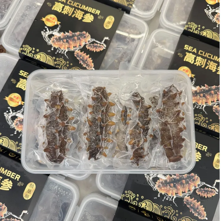 【高刺海参】送一盒 顺丰发货  鲜食海参 大连高刺参 特级海参