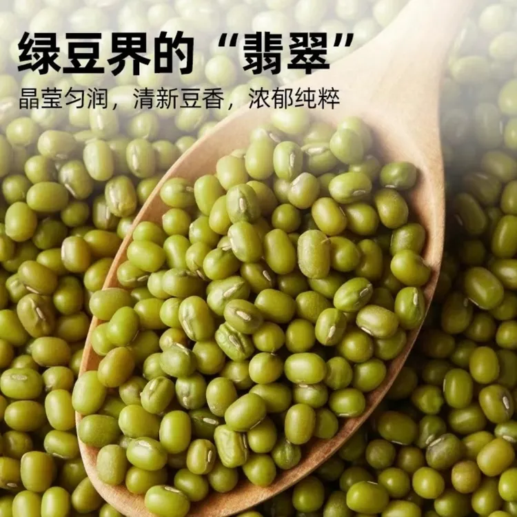 绿豆小绿豆新鲜精选优质绿豆清香味美易出沙夏季饮品优质绿豆