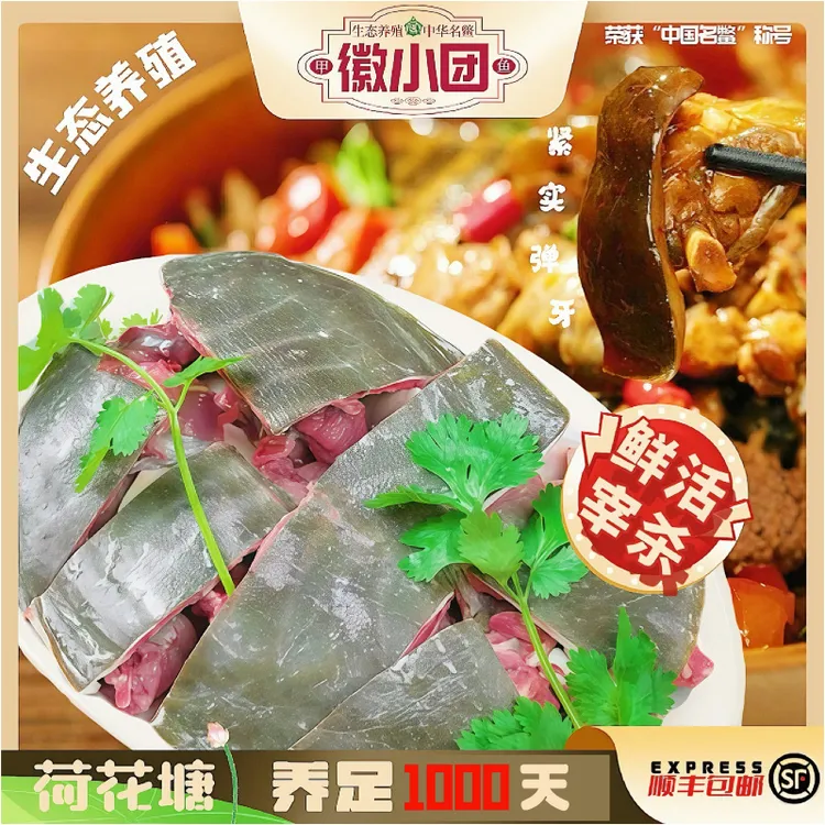 免杀甲鱼生态荷花塘现杀甲鱼去皮去内脏王八鳖肉真空新鲜顺丰包邮