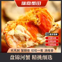 【活蟹】盘锦河蟹母蟹 1.7-1.9两  到手10只  鲜活发货