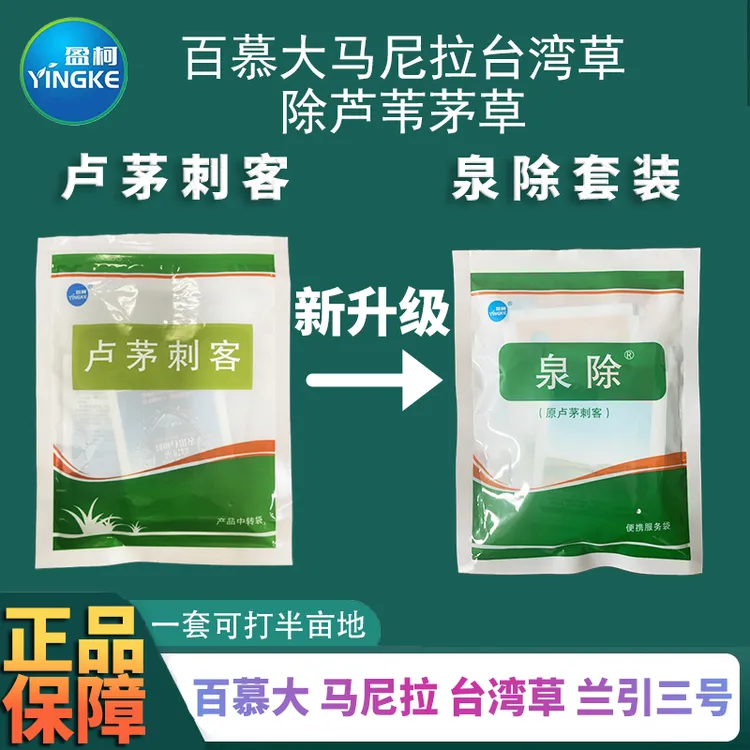 泉除原卢茅刺客套装百慕大马尼拉兰引三号草坪防除茅草芦苇除草剂