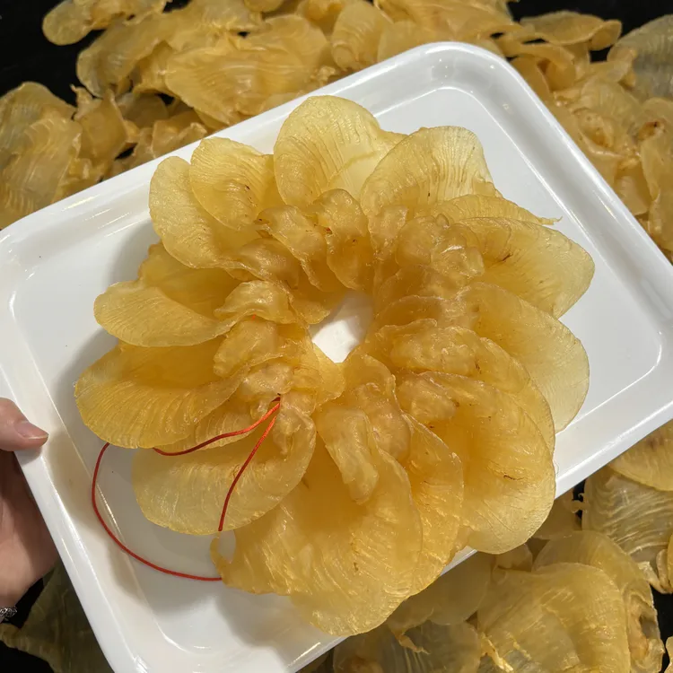 约15头湛江赤嘴母胶 柔肉老胶 适合备孕月子产后滋补的海鲜干货 