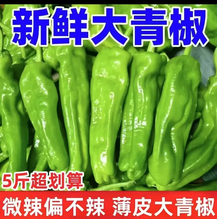 现摘现发]农家自种薄皮大辣椒虎皮椒微辣不辣发中通生鲜