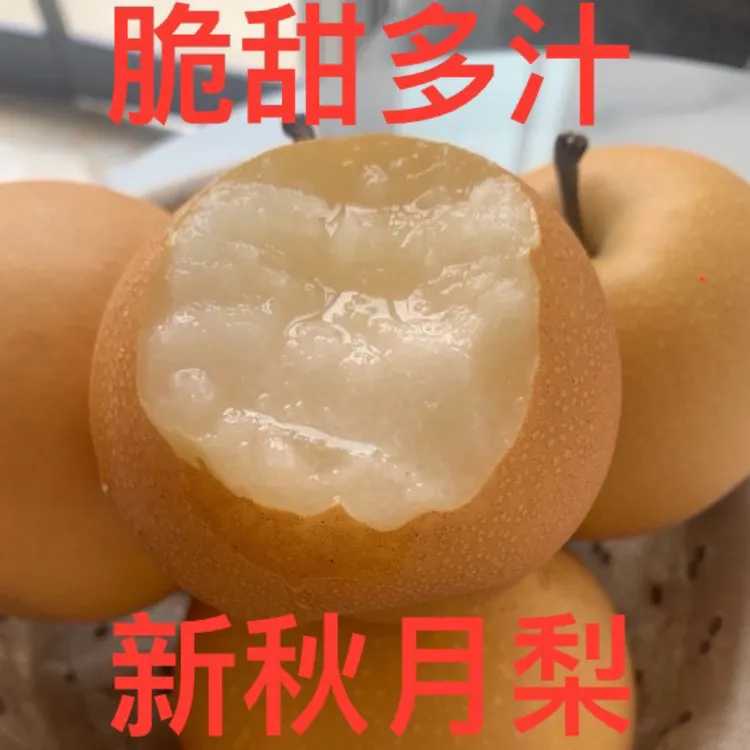 【老王助农】正宗特级山东秋月梨脆甜多汁入口细腻无渣露天当季新鲜