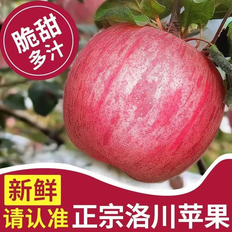 【正宗洛川苹果带箱9-10】陕西红富士苹果新鲜现摘孕妇水果脆甜ffxg