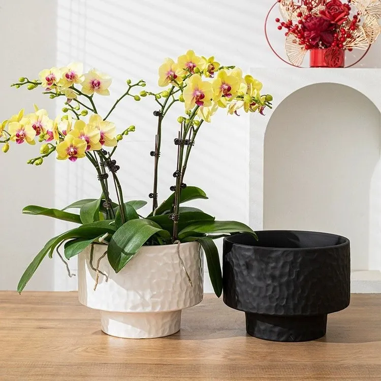 高端兰花花盆轻奢高级陶瓷大口径拼组组合网红蝴蝶兰专用花盆套盆