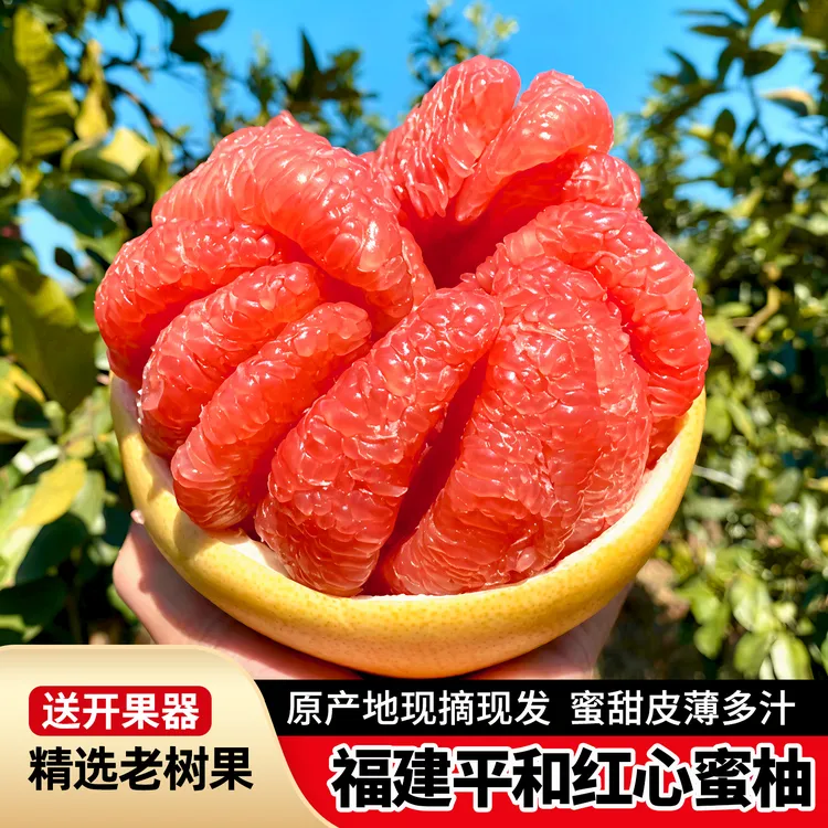 福建平和红心蜜柚新鲜采摘皮薄多汁当季水果产地直发