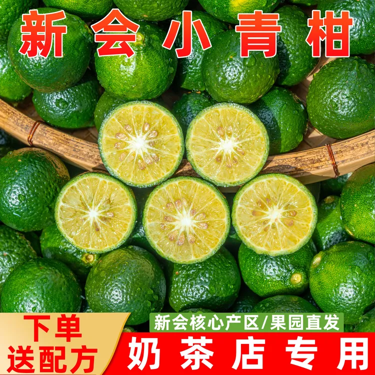 正宗广东新会小青柑鲜果奶茶店新会柑商用小青柑鲜果新鲜柠檬茶
