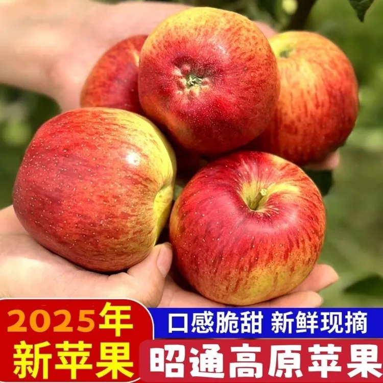 当季云南高山樱桃红露苹果小苹果