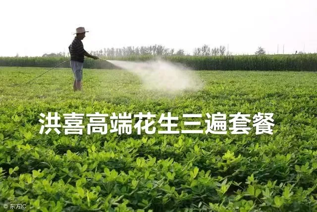 洪喜高端花生增产套餐组合叶面肥