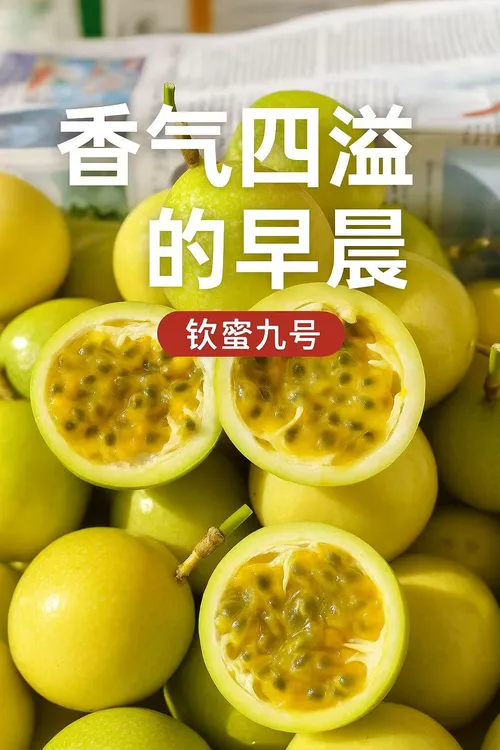 广西钦蜜9号黄金百香果VC清甜水果现摘  圆通净重发货 轻微花皮