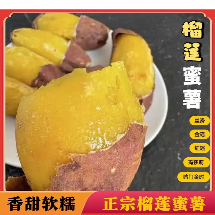丝滑榴莲蜜薯4.5斤净重慕菲勒红薯香甜软糯金时美秀烤地瓜番薯