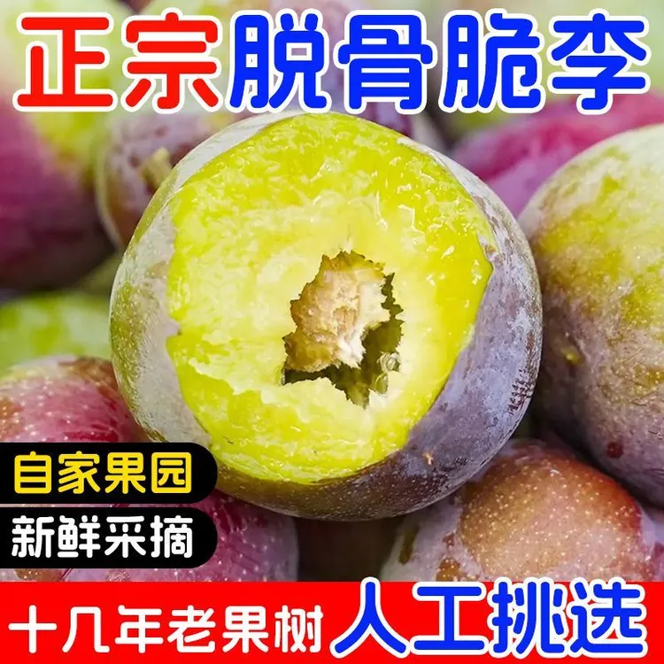 四川高山半边红脱骨脆李新鲜现摘脆甜多汁应季水果
