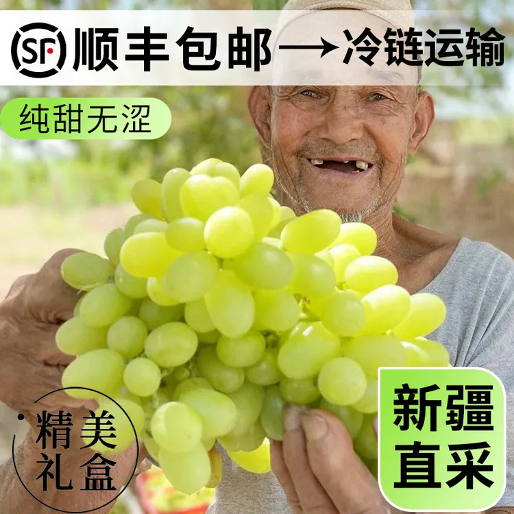 顺丰冷链包邮新疆吐鲁番新鲜水果无核白葡萄无籽皮薄脆分仓发货