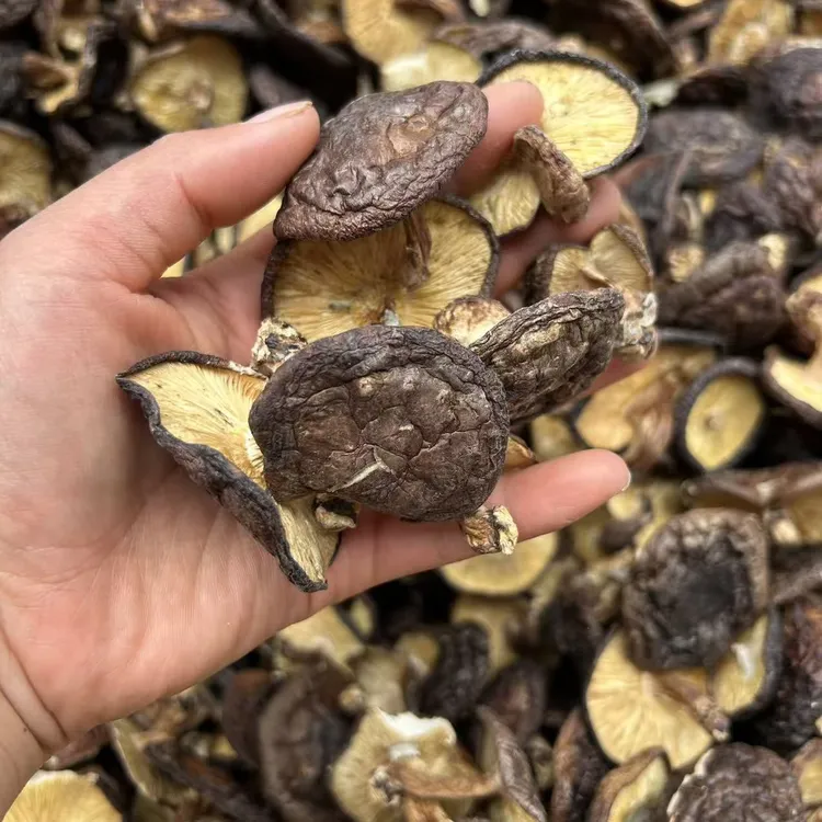 【蒋支书专属】香菌香菇干货正宗农家自晒干蘑菇散装农村山货土货