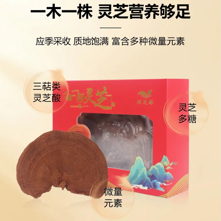 整朵赤灵芝附原生孢粉灵芝不苦可切片泡酒煲汤冲茶