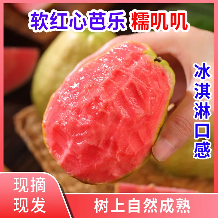 现摘新鲜广西红心芭乐番石榴低糖芭乐水果芭乐果产地直发配酸梅粉