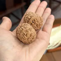 马虎对（多样性发其一）