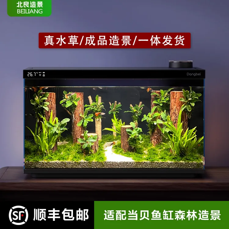 鱼缸造景适配当贝鱼缸一体成品森林造景沉木水草造景套餐鱼缸摆件
