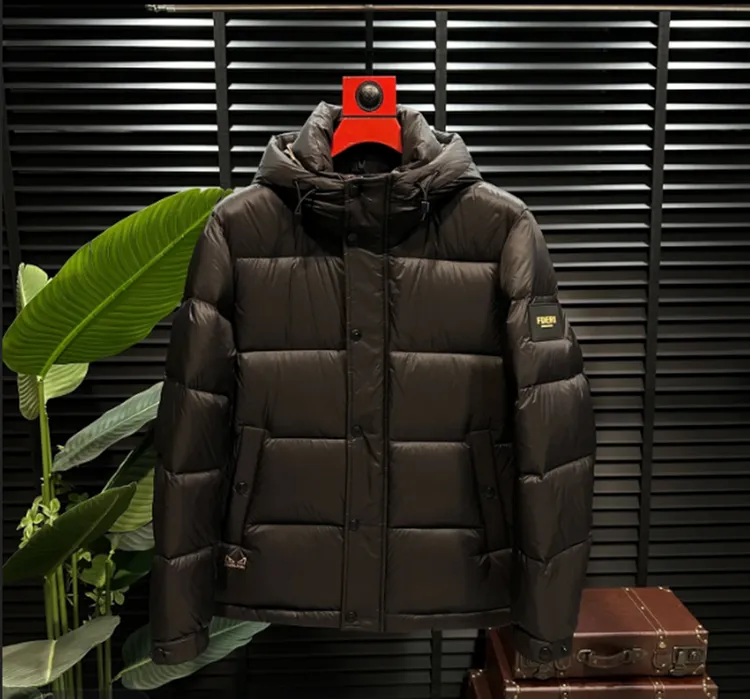 【轻奢欧货高克重羽绒服】冬季男士休闲欧货羽绒服连帽款 保暖时尚