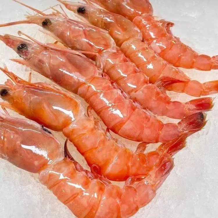 【小阿姨专属】舟山深海海捕大号红虾可刺身国产甜虾 码头直发