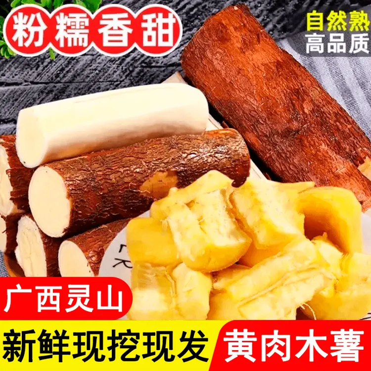 广西灵山特产新鲜现挖黄心面包木薯粉糯如板栗适合做糖水木薯羹