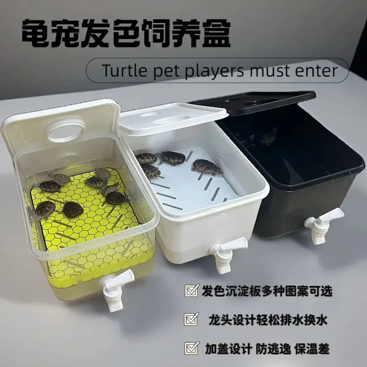 乌龟饲养盒蛋龟发色盒果核窄桥龟加温箱生态缸剃刀麝香乌龟专用缸