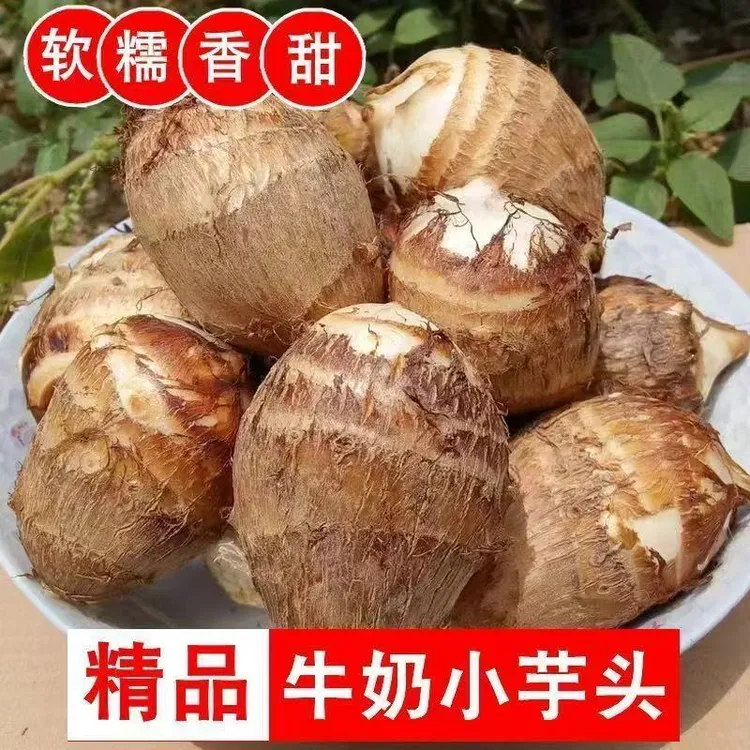 牛奶小芋头新鲜现挖香甜软糯口感细腻嫩滑净重4.5斤