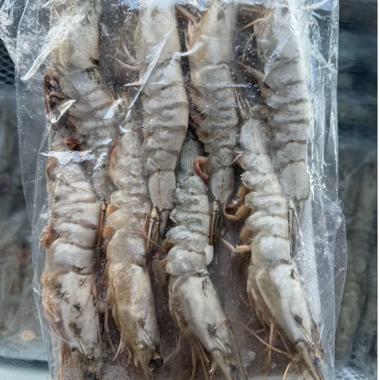 东港本地东方虾新鲜冷冻/3斤/每斤8-12只
