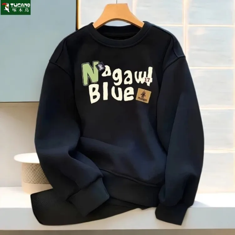 啄木鸟潮牌宽松新款卫衣重磅男士慵懒风卫衣秋冬百搭套头男士上衣