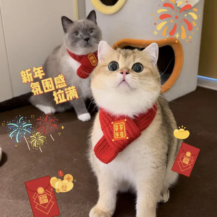 【新年猫咪围巾】宠物小狗毛线围脖喜庆时尚圣诞冬季保暖小狗饰品