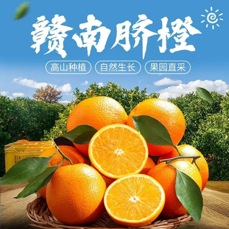 正宗赣南脐橙新鲜采摘果园直发应季水果爆甜多汁无渣江西赣州发货