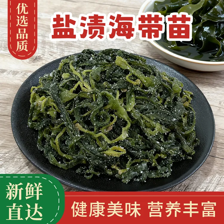 霞浦海带苗嫩苗火锅专用盐渍海带苗嫩芽涮火锅食材商用批发450克