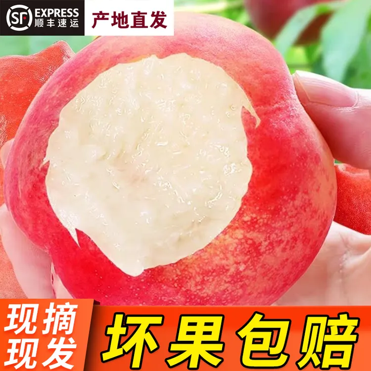 肥城玉妃脆甜桃子12个装4.8斤顺丰包邮