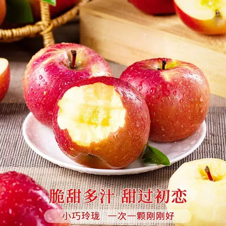 2025云南昭通新鲜红露丑苹果脆甜多汁营养丰富产地直供水果现摘