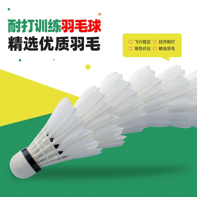 英羽羽毛球专业耐打正品12只装比赛专业训练球稳定耐打