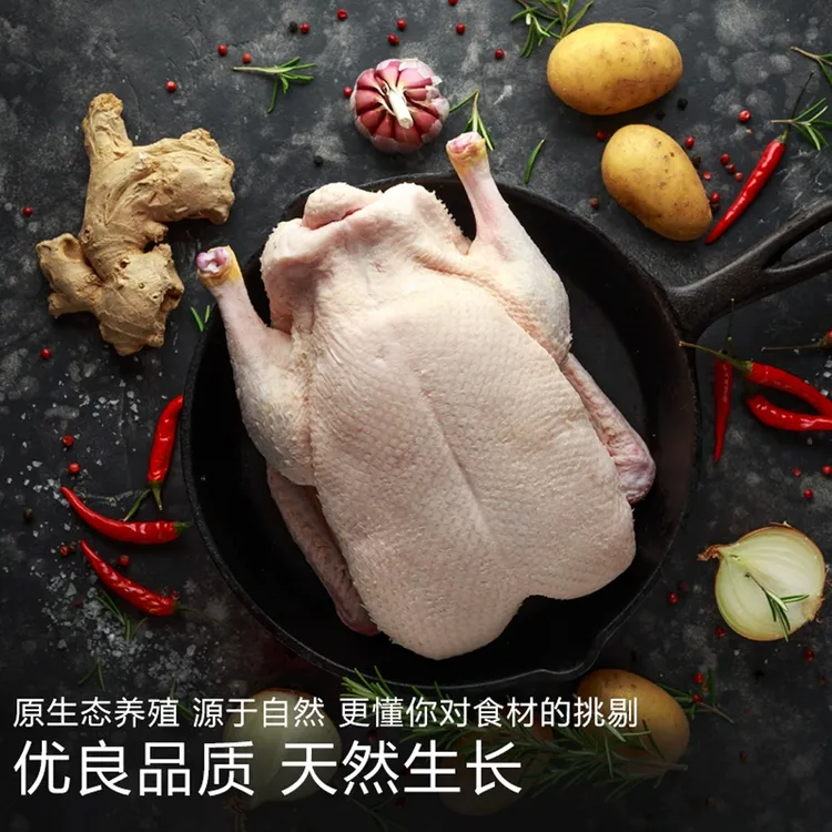 洪湖小青头鸭农家正宗散养青头鸭老鸭水鸭会飞的绿头鸭会飞的鸭子