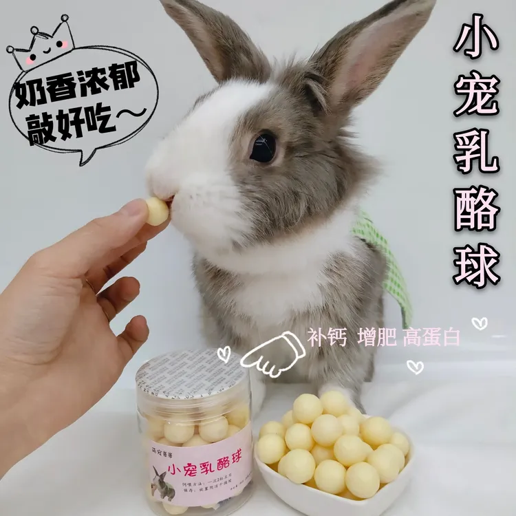 宠物乳酪球兔子零食补钙松鼠零食龙猫荷兰猪仓鼠增肥营养奶球90克