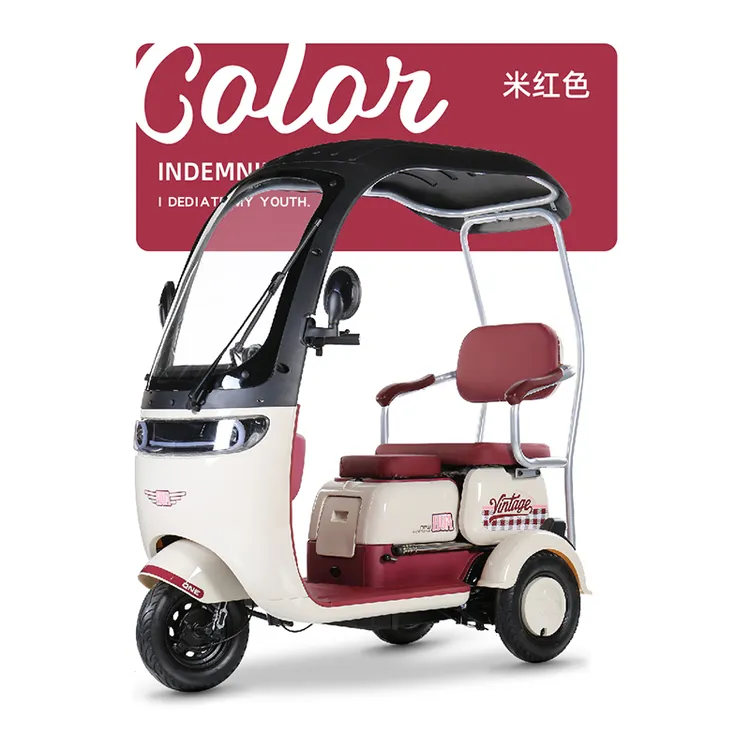 2025款带棚电动三轮车适合老人女士休闲客货两用代步接送孩子使用