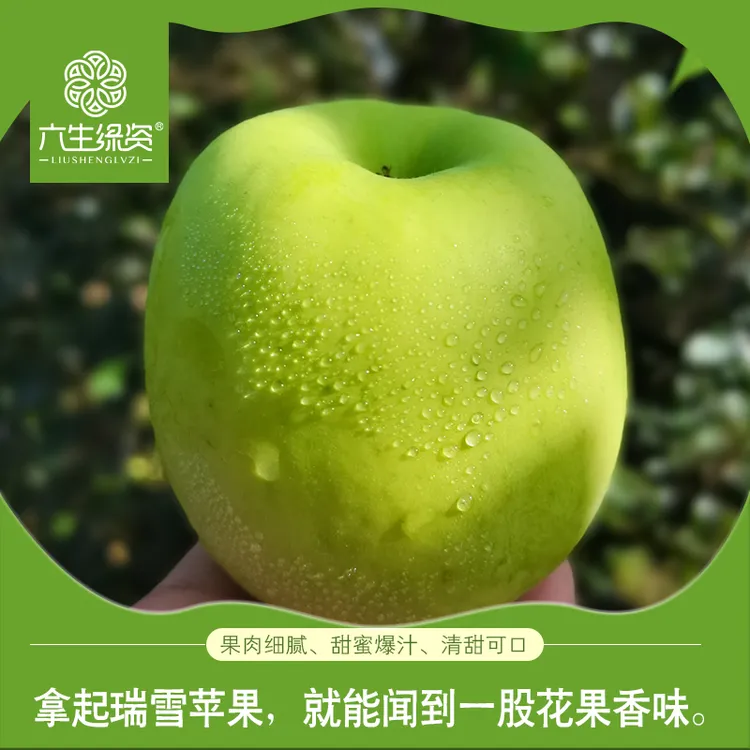 六生绿资长武瑞雪苹果新鲜现摘 30枚实惠装（略带瑕疵不影响食用）