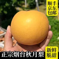 烟台莱阳秋月梨新鲜冰糖梨当季水果现摘超甜大果皮薄中秋礼盒
