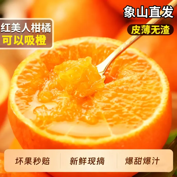 红美人柑橘蜜桔橘子新鲜水果现摘果冻橙当季桔子宁波象山现摘现发