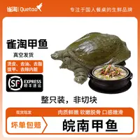 【雀淘】烫皮去脂真空甲鱼到手550-650g*2/3只红烧炖汤