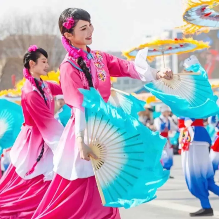 新款弹力东北秧歌演出服古典舞服装扇子舞中老年广场舞套装演出服