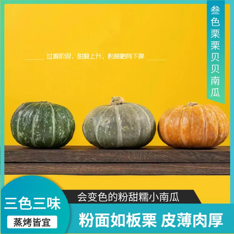 【叁色栗栗】三色三味粉糯香甜非惠和1号板栗味小南瓜山东潍坊