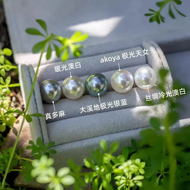 非金属仿珍珠项链 施家珍珠项链简约高级秋冬毛衣链锁骨链 