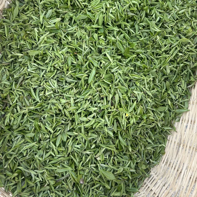 王母观野山茶500清明前芽叶兰花香回甘足