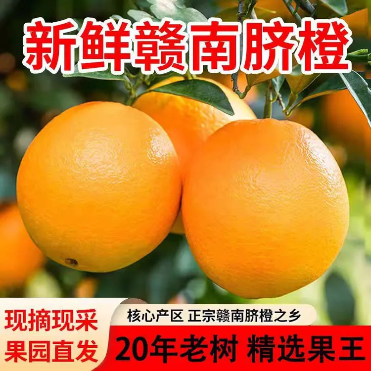 【京东包邮】现摘正宗赣南脐橙赣州产地直发5斤-10斤装当季新鲜水果