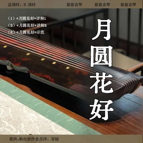 《月圆花好》古琴移植曲视频教程 精讲初级曲 正调