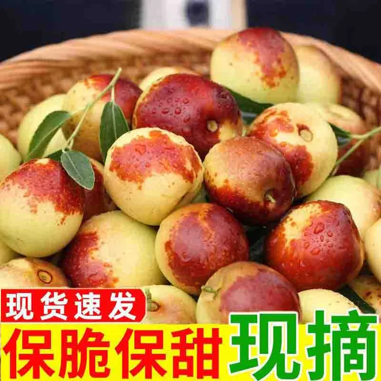 【脆甜多汁】正宗水果冬枣包邮冬枣脆甜冬枣青枣新鲜应季孕妇